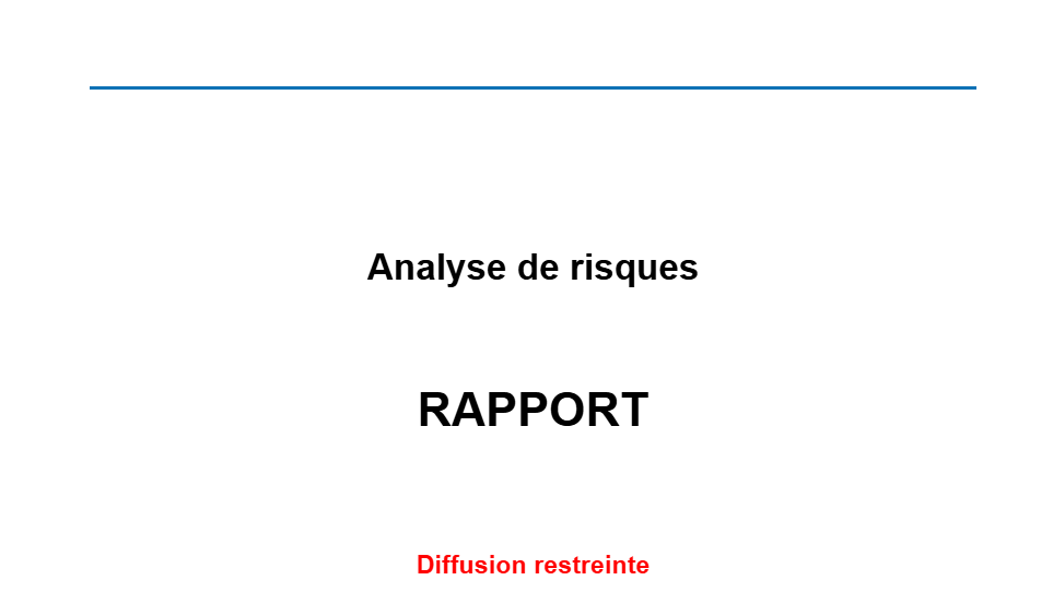 Risk Analysis Report
